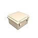 BUD Industries NBB-10260 Style B Plastic Indoor Box in Light Gray Finish – NEMA Electrical Equipment Box with Clear Door. Electrical Boxes and Fittings