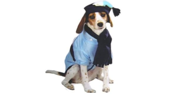 Lzh Baby Girls Boys Waterproof Raincoat Windbreaker Hoode Https Www Amazon Com Dp B078gnkq9t Ref Cm Sw Girls Windbreaker Toddler Girl Jackets Girls Jacket
