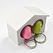 CUGBO White Birdhouse with 2 Whistle Sparrow Key Ring Holder (Pink and Green)