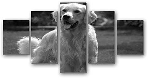 フィールド上の美しいゴールデンレトリバー 動物 白黒 5枚 パネル アートパネル 現代壁の絵 壁掛け部屋飾り背景絵画 キャンバス写真 壁アートしゃしん 木枠付きの完成品 装飾 軽くて取り付けやすい