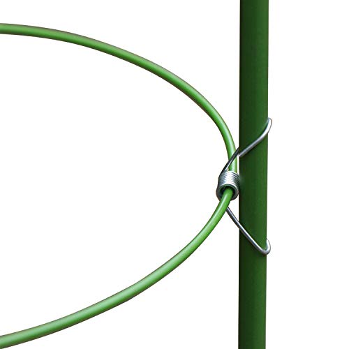 Anzmtosn Large Size 24INCH Garden Plant Support Ring Large Size Garden Trellis Flower Stainless Steel Support Climbing Vegtables&Flowers&Fruit Grow Cage with 3 Adjustable Rings 60CM (2PCS) - Thumbnail 2