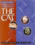 Mammalian Anatomy : The Cat, Fishbeck, Dale W. and Sebastiani, Aurora, 0895823640