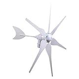 6-blade wind turbines - SODIAL(R) 6 Blade 300 Watt Max Wind Turbine Generator 12 Volt DCOutput:12V Current:AC