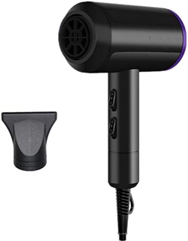 2000W Professional Salon Hair Dryer,Negative Ionic Hair Blow Dryer,AC Motor Low Noise Hair Dryer,with Concentrator,with 3 Heat & 2 Speed,for Hair Salon,Men and Women,Black
