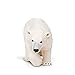 Safari Ltd Wildlife Wonders – Polar Bear – Realistic Hand Painted Toy Figurine Model – Quality Construction From Safe and BPA Free Materials – Made To-Scale – For Ages 3 and Up