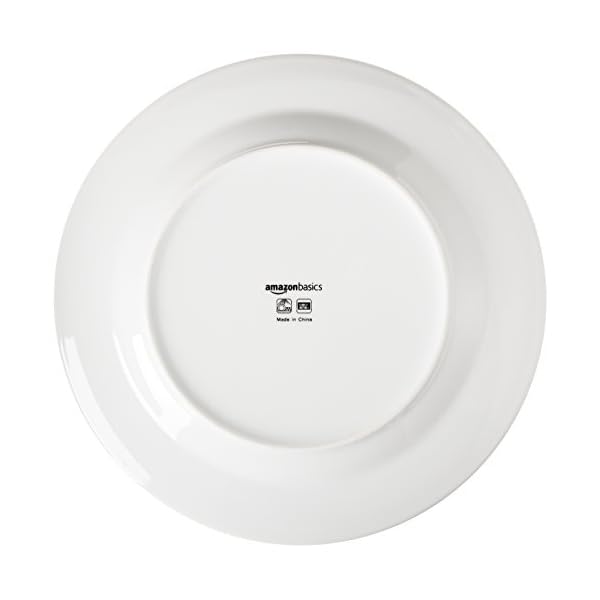Amazon Basics 6Piece White Dinner Plate Set The Home Kitchen Store