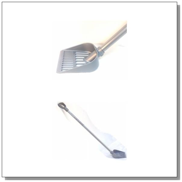 How to Clean the Cat Litter Box with a Bad Back BLUE CRYSTAL SKY