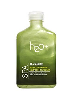 Buy H2o Plus Sea Marine Revitalizing Shampoo 12 2 Ounce Online At