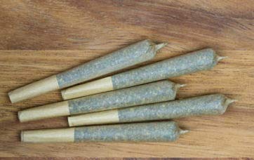 Bear Blend Rolliez - Herbal Cigarettes - Nicotine-Free Tobacco Alternative - Original Flavor (10 Count) - Thumbnail 2