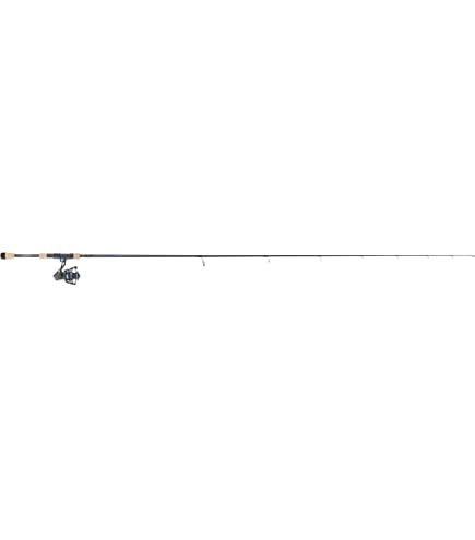 Amazon.com: St. Croix Rods GXRC Bass System - St. Croix Fishing