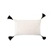 OJIA Boho Lumbar Decorative Throw Pillow Cover, Woven Tassels Cushion Case Minimalist Neutral Collection Accent Cushion Cover for Farmhouse Bed Sofa Living Room Bedroom (12 x 20 inch, Cream White)