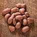 Mascot Candy and Nut Gifts since 1955 - Smooth Milk Chocolate Covered Pecans 1 Pound in Beautiful Gift Tin- Perfect for any occasion! Birthday, Easter, Mother's Day, Father's Day!