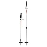 MSR Dynalock Trail Backcountry Poles