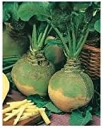 Rocalba - Semilla de colinabo: Amazon.es: Jardín
