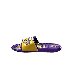 FOCO Minnesota Vikings NFL Mens Colorblock Big Logo