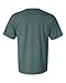Comfort Colors Pigment-Dyed Short Sleeve Shirt, Bluespruce, L [Apparel]