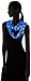 FOCO NBA Infinity Scarf