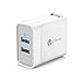 iClever 24W Dual USB Wall Charger with 2 SmartID Charging Port(5V/2.4A Each), Portable Travel Charger with 100-240V Input, Foldable Plug, White