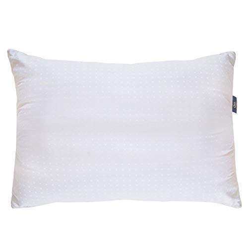 Sertapedic Won't Go Flat Pillow - Image 3