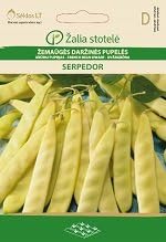 Seklos LT French Bean Dwarf SERPEDOR - 60 Seeds