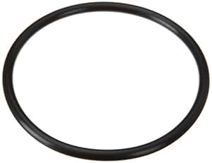 Amazon.com: Hayward SPX2300Z4 Strainer Cover O-Ring