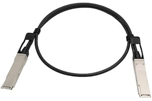 200G QSFP56 DAC Cable 200GBASE Passive Direct Attach Copper Twinax Cable with 0.5M 1M 2M 3 Metres Jumber(0.5M)