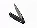 Firebird Folding Knife F7603 GANZO Pocket Folding Hunting Knife G-10 Handle SS Blade (Black) with Ball Bearing Pivot