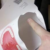 Anatomy of the Teeth Anatomical Chart: 9781587791000: Medicine & Health