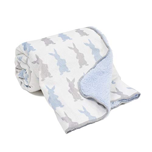 Lambs & Ivy Peter Rabbit Blanket