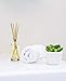 Urban Naturals Crisp White Linen Reed Diffuser Gift Set | with Citrus, Ozone, Ylang-Ylang, Lilies & Sandalwood Scent Notes for a Fresh, Clean Cotton Smelling Home | Made in The USA – Great Deal!