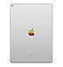 Retro Rainbow Apple for iPad Pro 12.9 Decal Sticker Art Design