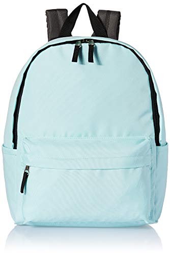 amazonbasics 21 ltrs classic backpack