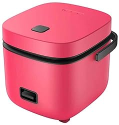 Rice Cooker Small with Removable Non-stick