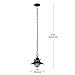 Globe Electric Liam 1-Light Outdoor/Indoor Pendant, Black, Matte Finish,44166, Bulb Not Included
