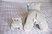Baby Hippo Plush Toy | Super Soft Hippo Stuffed Animals | Cute Plushies for Kids' Bedroom or Playroom | 7-in Safari Stuffed Animals for Girls & Boys | Hippo Stuffed Animal Toys by Exceptional Home