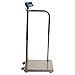 Brecknell MS140-300, Portable Medical Electronic Handrail Scale, 660 lb x 0.2 lb