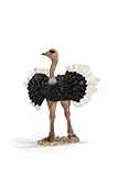 Schleich Ostrich Male