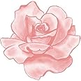 MR3Graphics Magnet Pink Rose Magnetic Car Sticker Decal Bumper Magnet Vinyl 5"