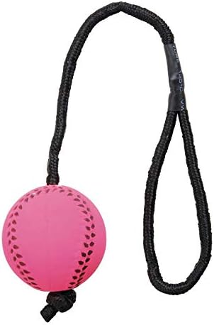 TRIXIE 3459 Neon Balls with Cord Soft Rubber 6 x 30 cm Pack of 24, bunt, 6 x 30 inch