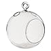 WGV Hanging Terrarium Globe, Width 4