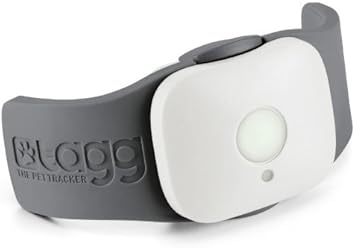 Tagg GPS Pet Tracker - Dog 