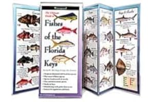 Earth Sky + Water FoldingGuide™ - Fishes of The Florida Keys - 10-Panel Foldable Laminated Nature Identification Guide