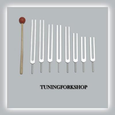8 Pc Fibonacci Tuning Fork for Healing with Mallet & Pouch
