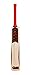 General Motors GM Mana 101 Kashmir Willow Cricket Bat, Short Handle