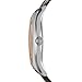 Emporio Armani Men's AR1704 Dress Brown Leather Watch