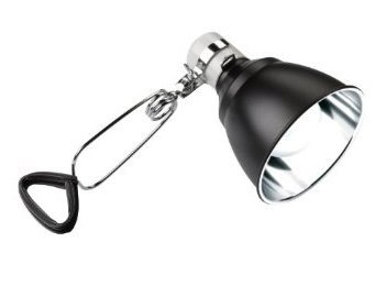 Buy Pet 7 Inch Exo Terra Mirror Dome Light Fixture Ultraviolet Light Therapy Exo Terra Lights Supply Store Shop Online At Low Prices In India Amazon In Exo Terra Lampe