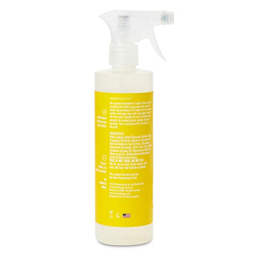 Lemon Verbena Scented Dish Soap, Hand Soap & Multi-Purpose Surface Cleaner Spray - Granted the Good Housekeeping Seal - from Tri-Coastal Design
