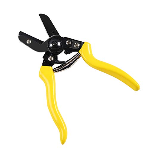 Terme Pruner (Shock Absorbing Squeeze Pruning Shears)