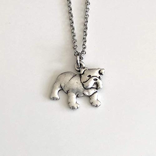 bulldog chain