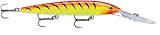 Rapala Down Deep Husky Jerk 10 Fishing Lure